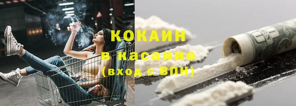 твердый Алзамай
