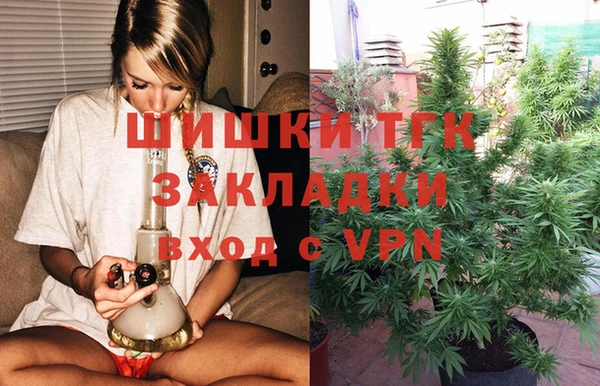 дурь Алексин