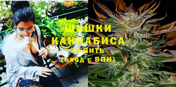 твердый Алзамай
