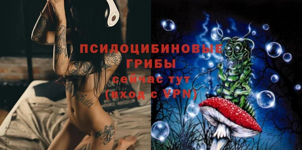 твердый Алзамай
