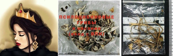 дурь Алексин