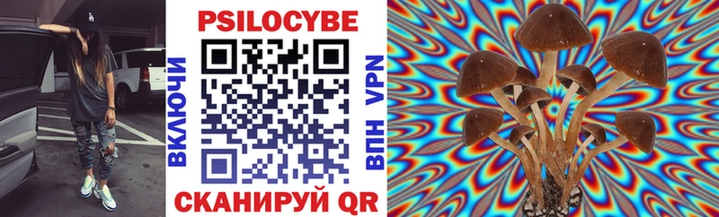 мега как войти  Кореновск  Псилоцибиновые грибы мицелий 